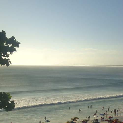Photo #11903167