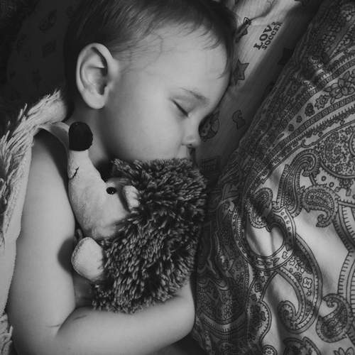 Photo #11903250