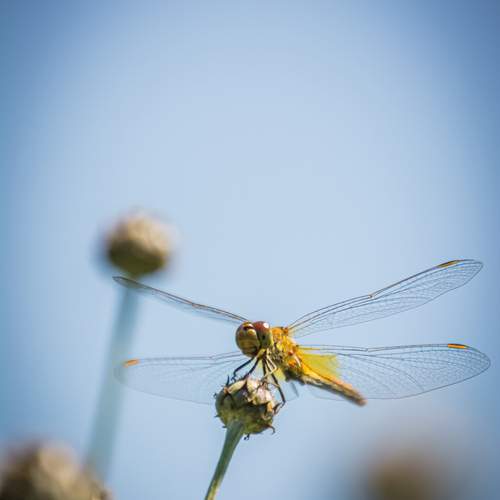 Photo #11903251