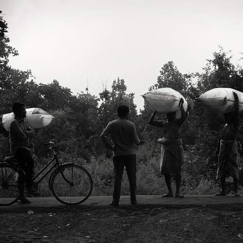 Photo #11903334
