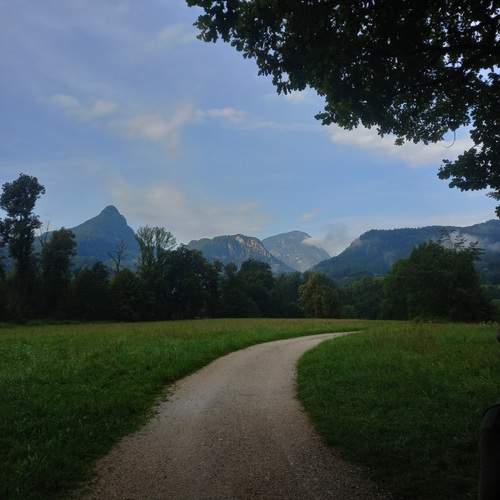Photo #11903558