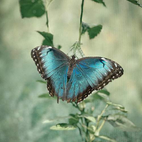 Photo #11903623