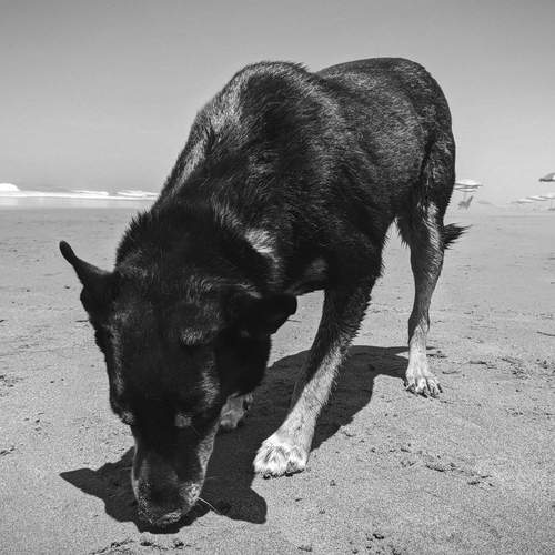Photo #11903627
