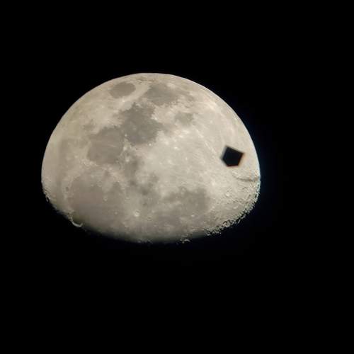 Photo #11903754