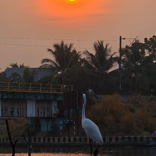 Photo #11903795