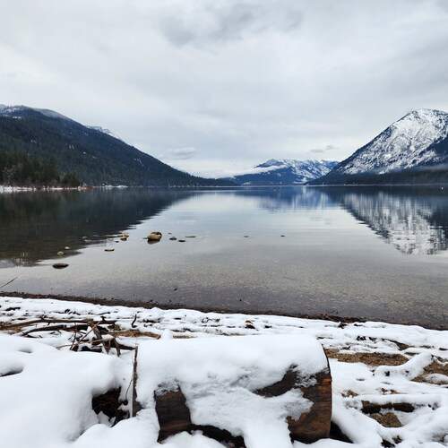 Photo #11903934