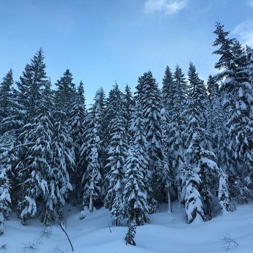 Photo #11903940