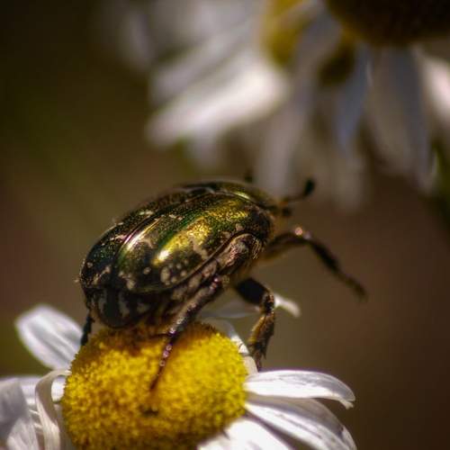 Photo #11904025