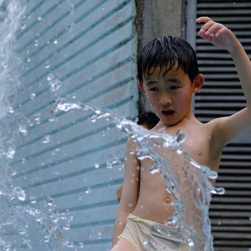 Photo #11904232