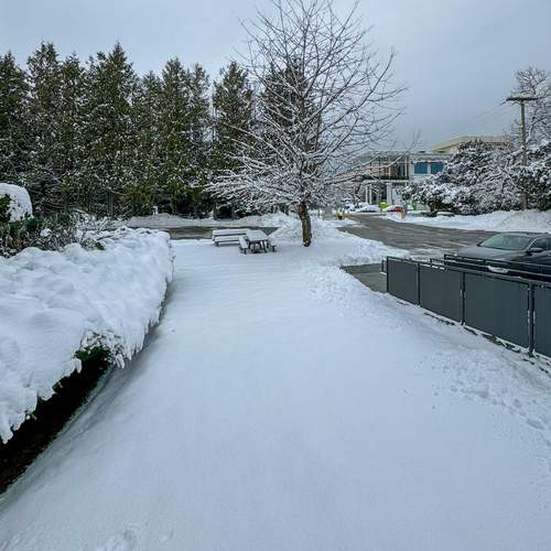 Photo #11904298