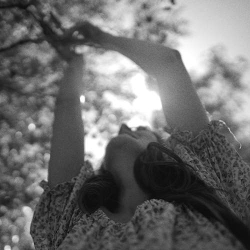 Photo #11904368