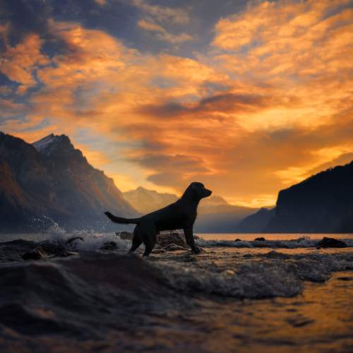 Фотография #11904531