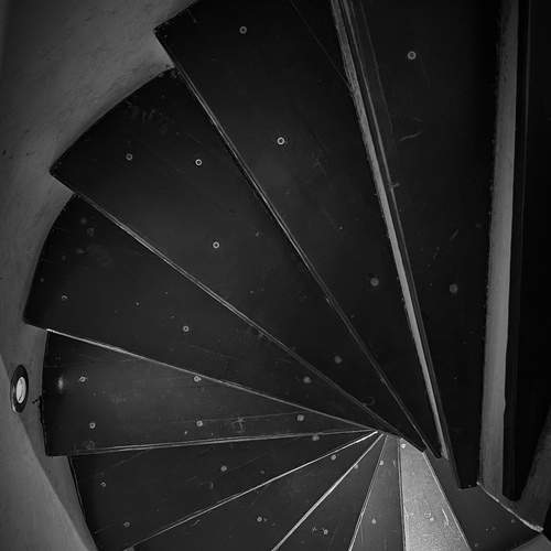 Photo #11904561