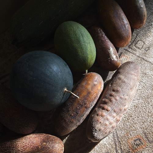 Photo #11904681