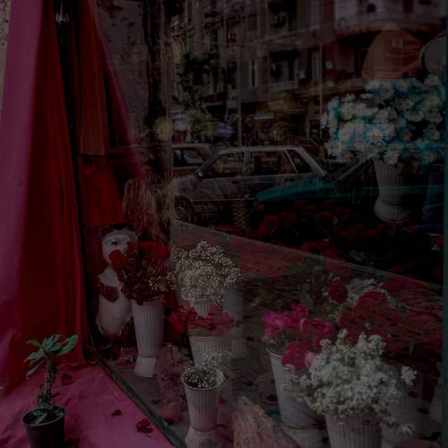 Photo #11904686
