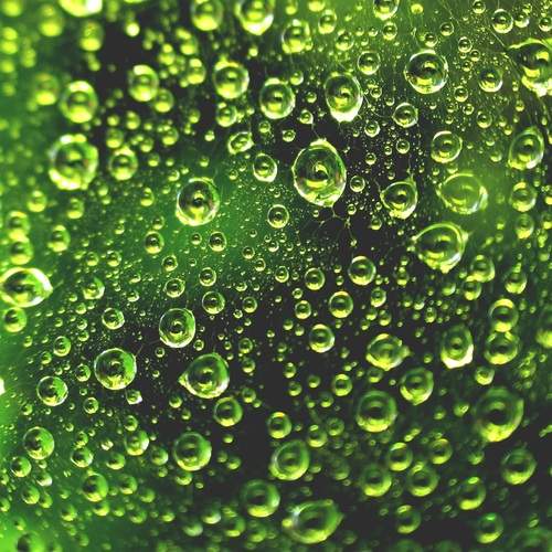 Photo #11905202
