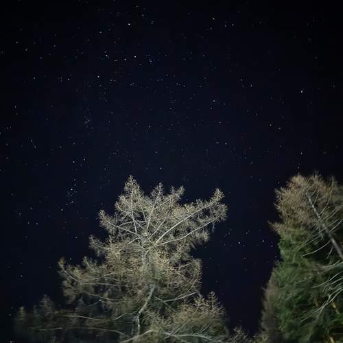 Photo #11905415