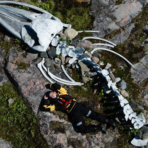 Photo #11905474