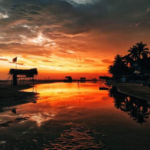 Photo #11905481