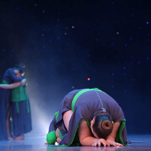 Photo #11905502