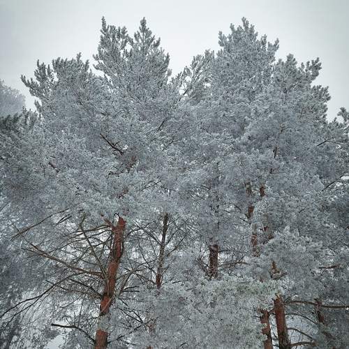 Photo #11905642