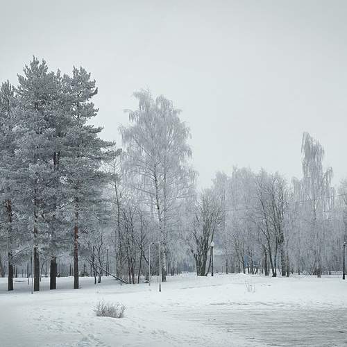 Photo #11905653