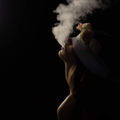 Photo #11905725