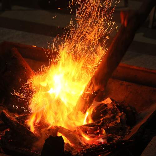 Photo #11905742