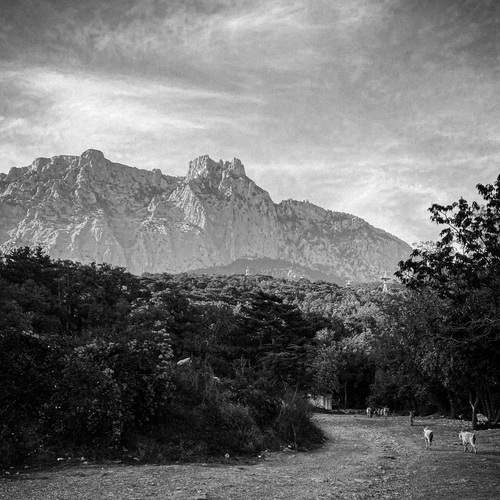 Photo #11905885