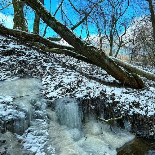 Photo #11905901