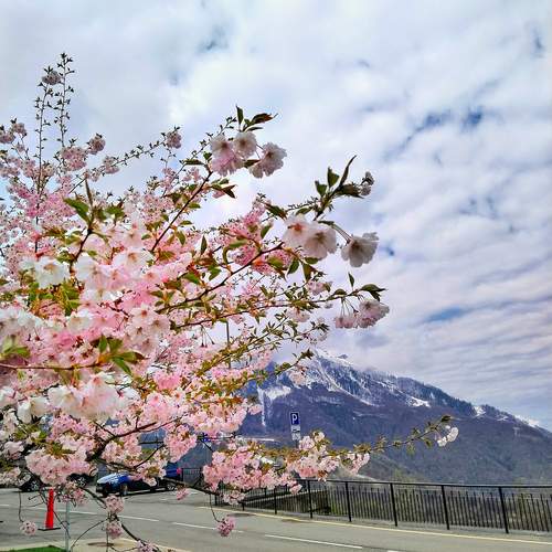 Photo #11905970