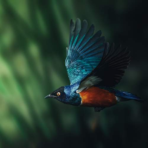 Фотография #11905974