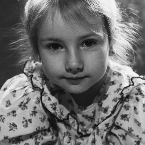 Photo #11906112