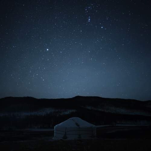 Photo #11906244