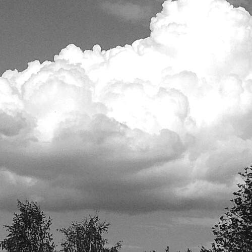 Photo #11906278