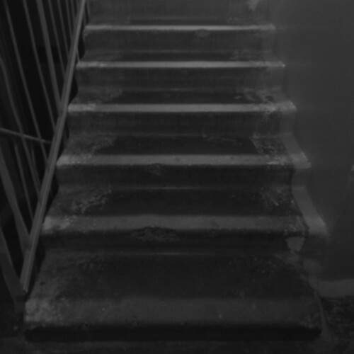 Photo #11906280