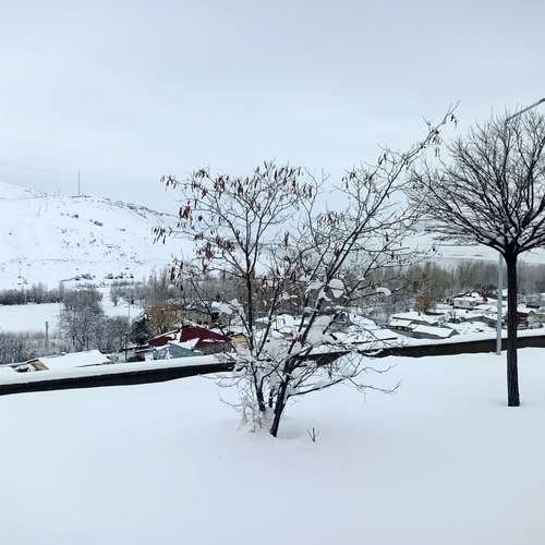 Photo #11906419