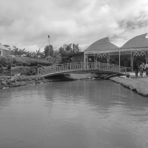 Photo #11906567