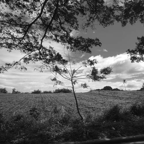 Photo #11906587