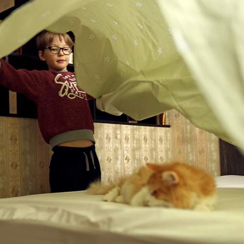 Photo #11906763
