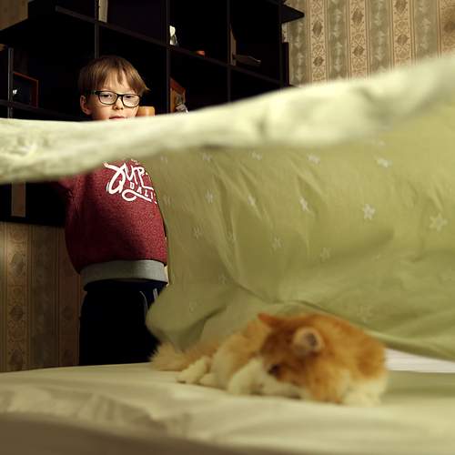 Photo #11906781