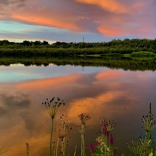 Оранжевый закат