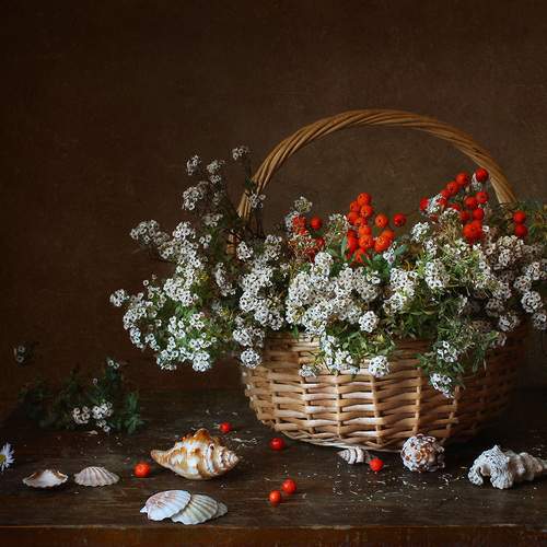 Фотография #11906955