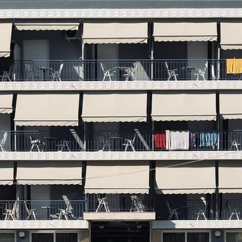 Photo #11907335