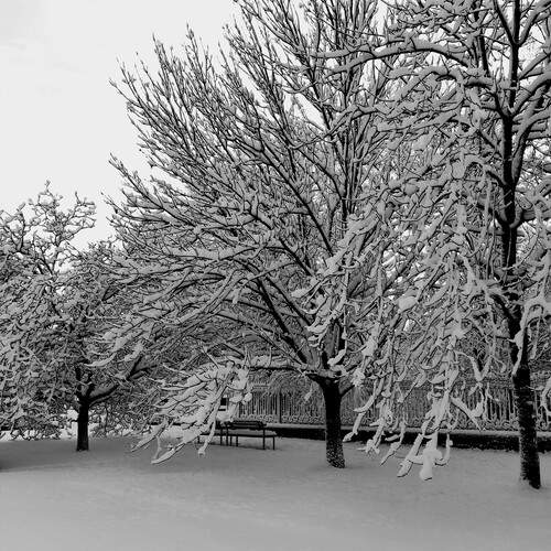 Photo #11907340