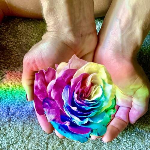 Flor,mão,cores ,raios de sol.