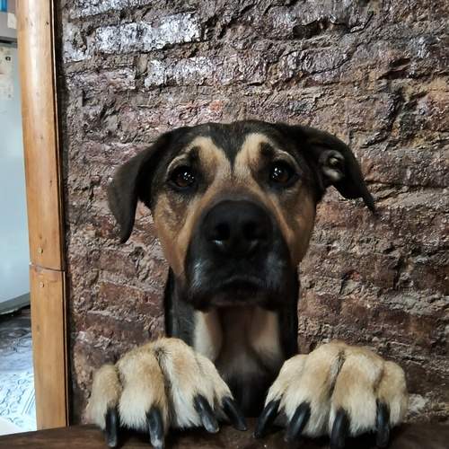 Photo #11907675