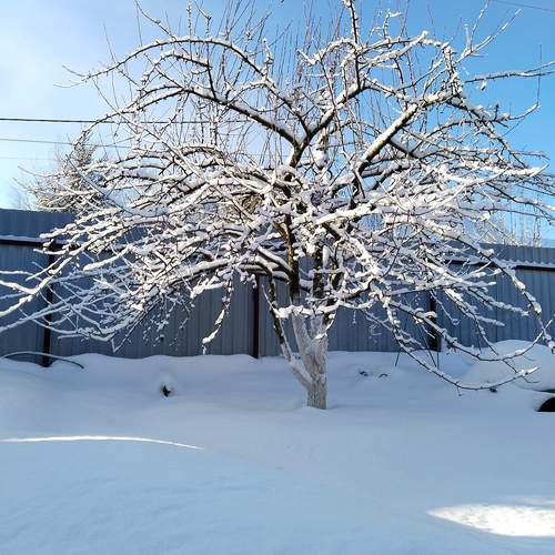 Photo #11907783