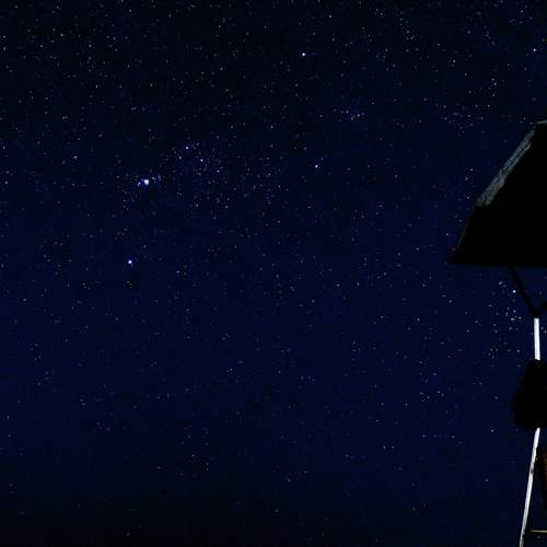 Photo #11907859