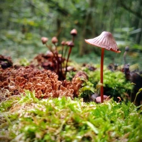 Photo #11907938